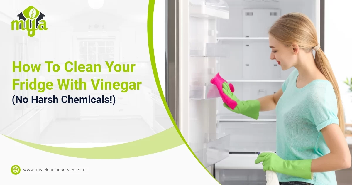 How To Clean Your Fridge With Vinegar (No Harsh Chemicals!) Blog