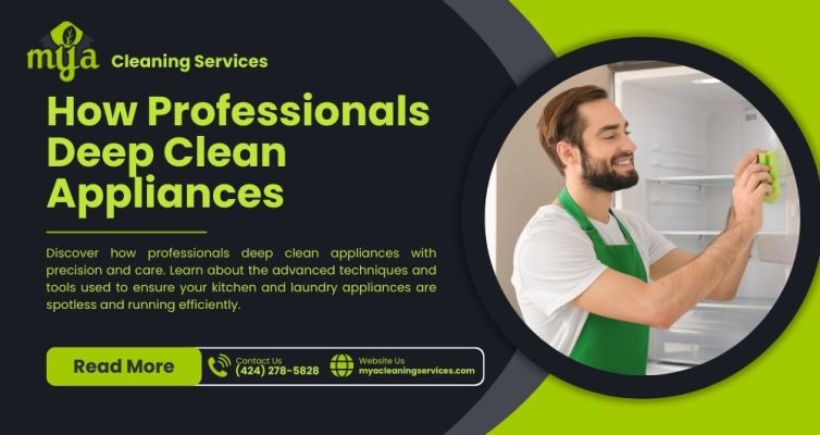how professional deep clean appliances