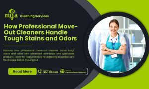 how professional move-out cleaners handle tough stains and odors