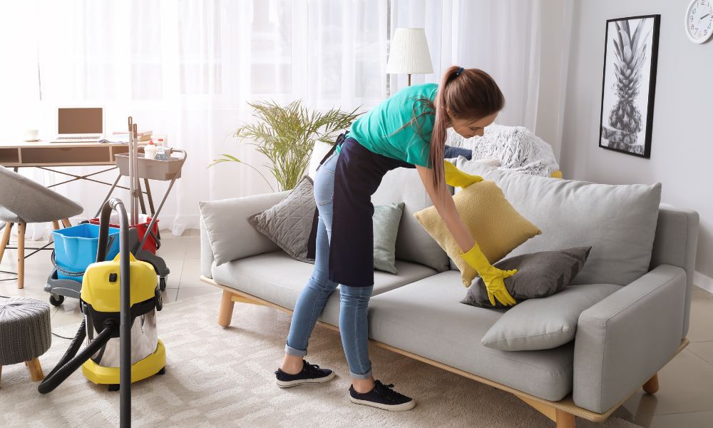 professional cleaning service