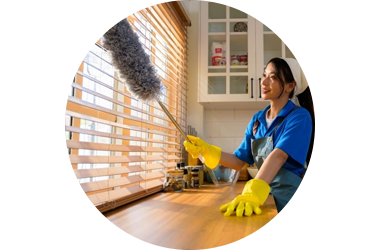 House Cleaning 2
